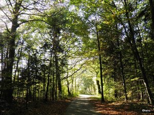 PA152125.JPG PA152125.JPG