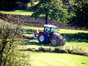 PA152124.JPG PA152124.JPG