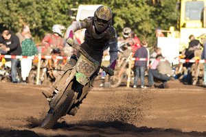 Wildeshausen 2011-72.jpg