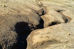 comp_03.jpg comp_03.jpg