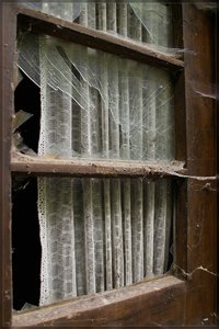 Türl -SD15 - SDIM6540.jpg