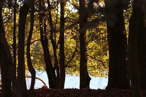 Farbenrausch 500 kbFarbenrausch100001.jpg