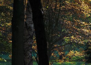 Farbenrausch 500 kbFarbenrausch10001.jpg