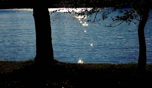 Farbenrausch 500 kbFarbenrausch8 Gegenlicht0001.jpg