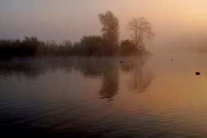 Backerweiher 2011-10-18 011.jpg