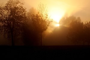Backerweiher 2011-10-18 034.jpg