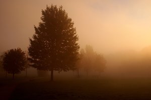 Backerweiher 2011-10-18 063.jpg