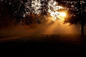 Backerweiher 2011-10-18 056.jpg