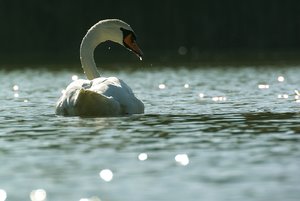 comp_SDIM9283_1.jpg comp_SDIM9283_1.jpg