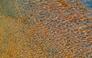 comp_SDIM9295_1.jpg comp_SDIM9295_1.jpg