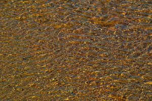 comp_SDIM9298.jpg comp_SDIM9298.jpg