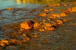 comp_SDIM0701-2.jpg comp_SDIM0701-2.jpg