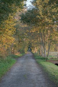 DSC00064.jpg DSC00064.jpg