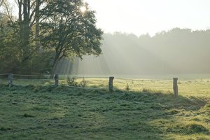 DSC00068.jpg DSC00068.jpg