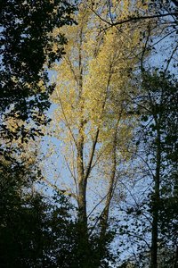 DSC00070.jpg DSC00070.jpg