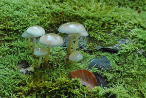 JPG_6898 Kopie wt.jpg