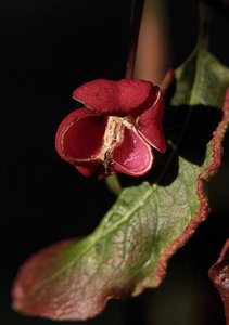 comp_Herbst 2011-10-23 110.jpg