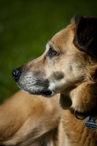 14. Oktober 2011-_V6F7773.jpg