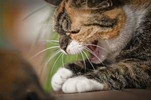 15. Oktober 2011-_V6F7797.jpg