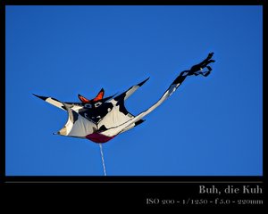 DSC_2025_ji_rk.jpg DSC_2025_ji_rk.jpg