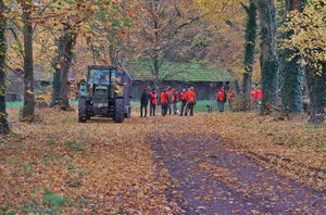 Teutoburger Wald _028 ww.jpg