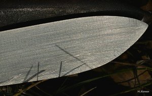 03_SDIM0864_Spot_no extended.jpg