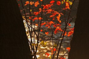 Herbstlicht 500 kbHerbstlicht 10001.jpg