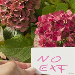 06_SDIM0949_400iso ohne entr.oder schär_corp.jpg