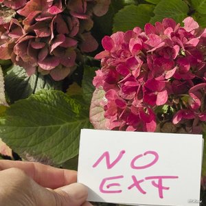 08_SDIM0947_1600iso ohne schärfen ohne entrauschen_Corp.jpg