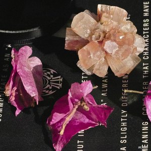 10_SDIM1003_3200iso ohne schärfen ohne entrauschen_corp.jpg