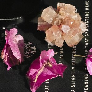 11_SDIM1003_3200iso optimiert_corp.jpg