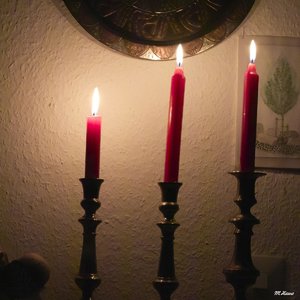 02_SDIM1074_800 100% Crop.jpg