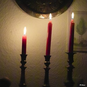 03_SDIM1075_1600 100% Crop.jpg