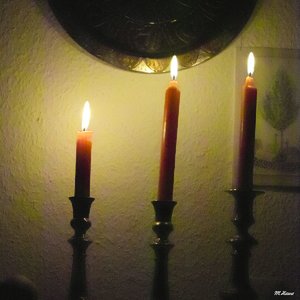 04_SDIM1076_3200 100% Crop.jpg