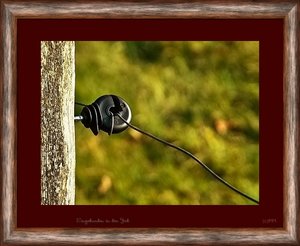 SDIM5188 Eingebunden in den Job psf_cr framed titled (c) PPf.jpg