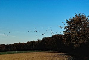 SDIM5190psf_filtered (c) PPf.jpg