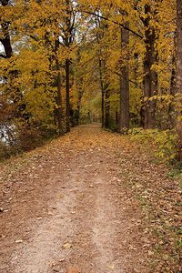 comp_Marzling 2011-10-29 001.jpg