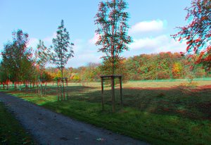 30.10.2011-3Garten2.jpg 30.10.2011-3Garten2.jpg