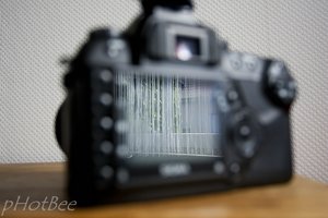 25. Oktober 2011-_V6F7890.jpg