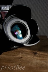 25. Oktober 2011-_V6F7908.jpg