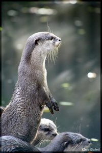 sample 18.jpg sample 18.jpg