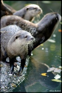 sample 24.jpg sample 24.jpg