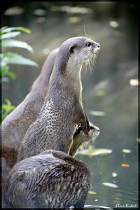 sample 25.jpg sample 25.jpg