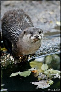 sample 27.jpg sample 27.jpg