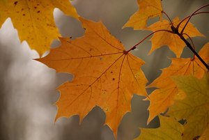 comp_Marzling 2011-10-29 116.jpg