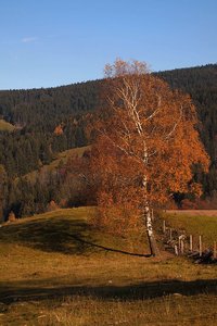 karosSchliersee 2011-11-02 012.jpg