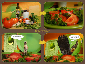 tomatensalat-2.jpg