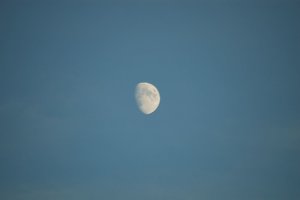 DSC_2446.JPG DSC_2446.JPG