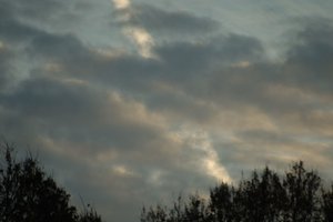 DSC_2447.JPG DSC_2447.JPG