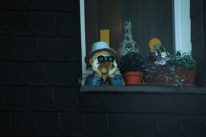 DSC_2449.JPG DSC_2449.JPG